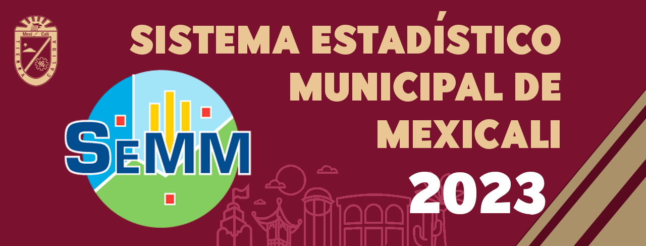 Sistema Estadístico Municipal